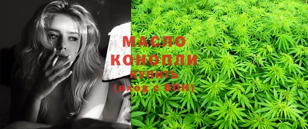 крисы Сатка