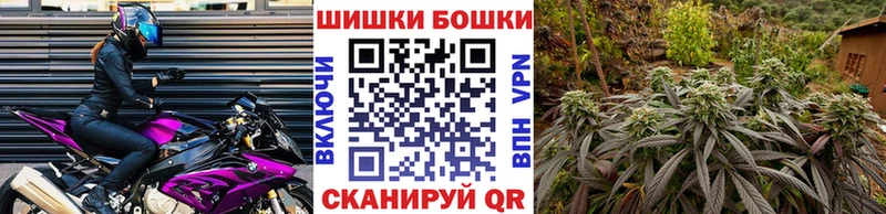 МАРИХУАНА конопля  Купить где  Красавино 